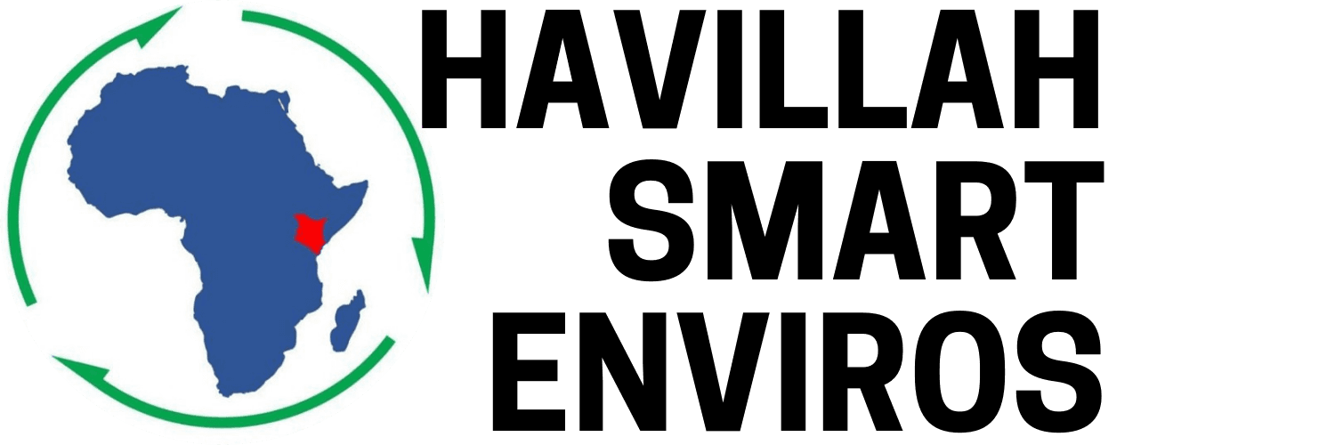 Havillah Smart Enviros logo