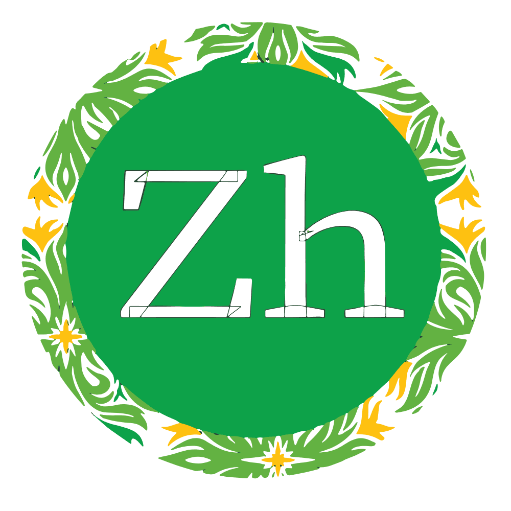 Zehunger Solutions logo